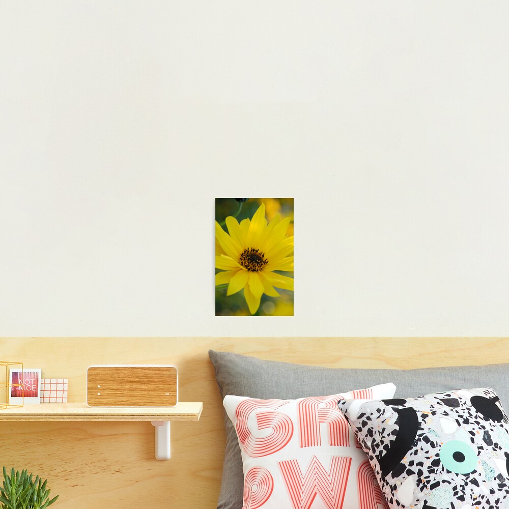 Item preview, Photographic Print designed and sold by DSPhotoDesigns.