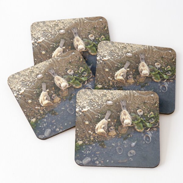 Item preview, Oceanside Lovebirds  designed and sold by RussellsArtMart.