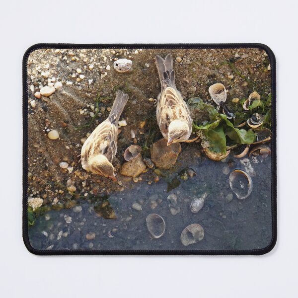Item preview, Oceanside Lovebirds designed and sold by RussellsArtMart.