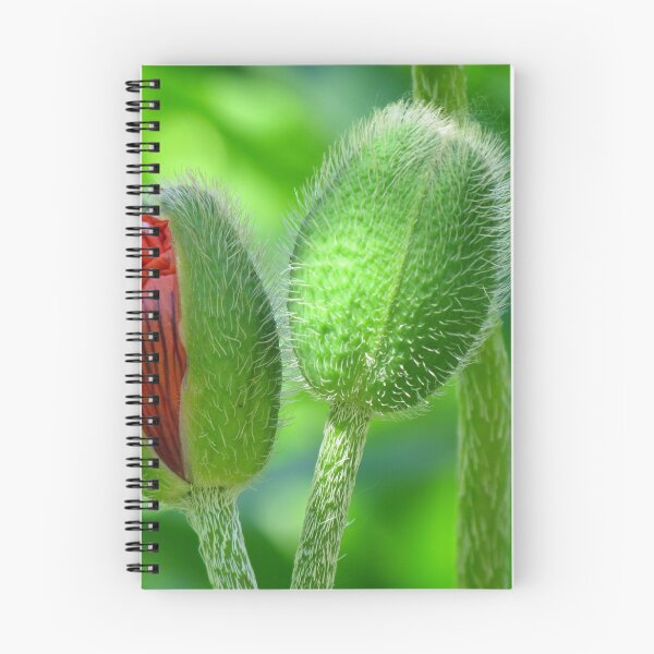 Item preview, Budding Poppies designed and sold by EKartPrints.