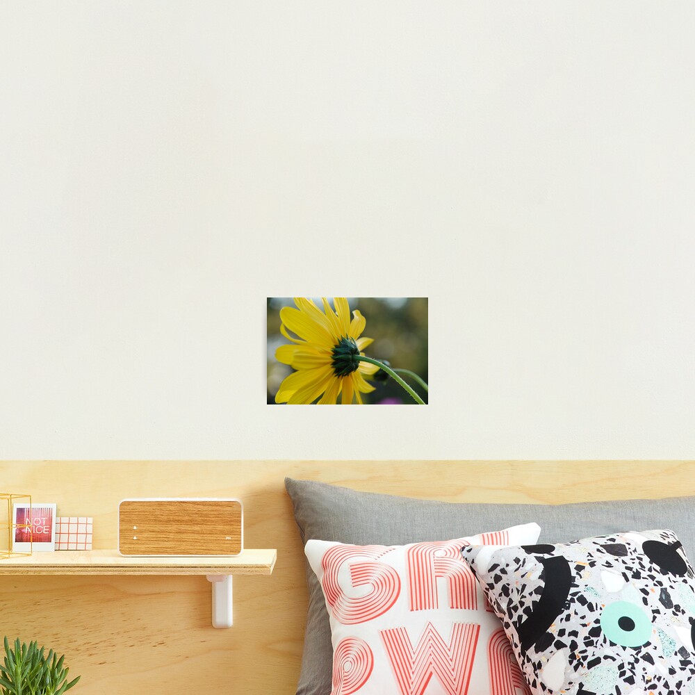Vista previa del artículo con la obra «Lámina fotográfica», diseñado y vendido por DSPhotoDesigns.