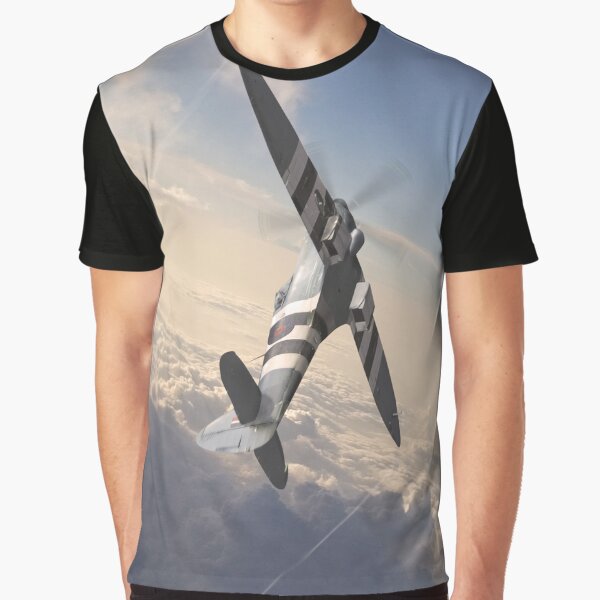 Vista previa del artículo con la obra «Spitfire PR Mk XIX PM631», diseñado y vendido por Airpower Art.
