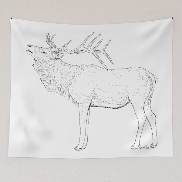 Item preview, Elk Drawing - Elk Illustration - White Background designed and sold by EcoElsa.