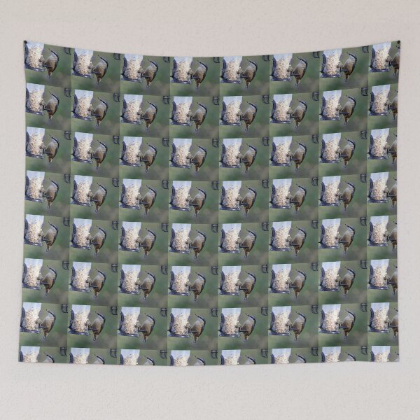 Item preview, nuthatch designed and sold by KathleenDawson.