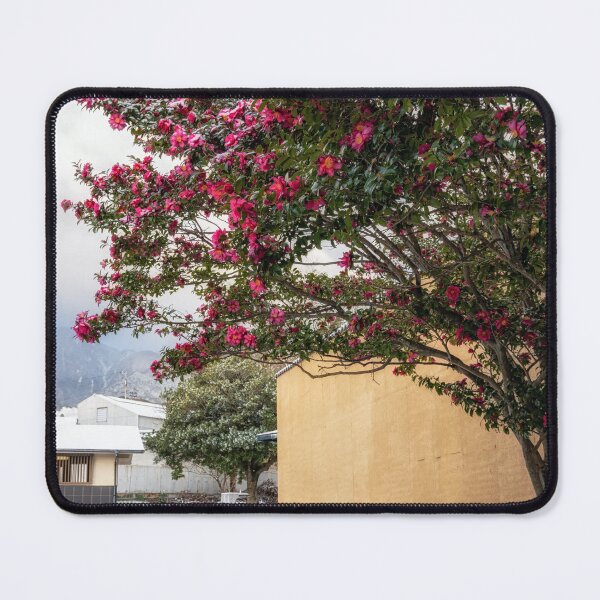 Item preview, Camellia Flowers in Beppu designed and sold by aaronchoi.