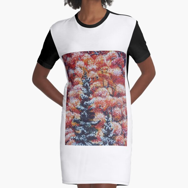 Harmony Between Fall and Winter Graphic T-Shirt Dress