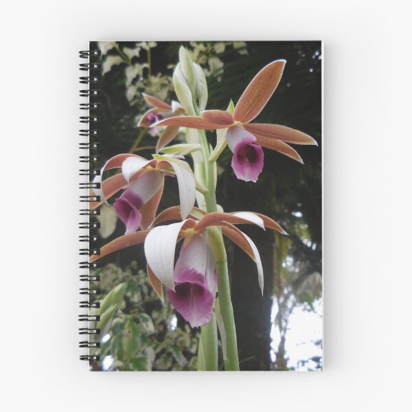 Item preview, Orchids designed and sold by chere.