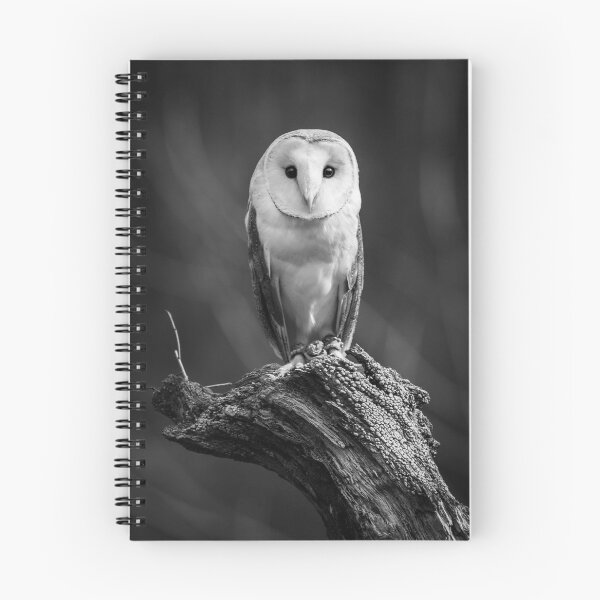 Item preview, Barn Owl designed and sold by jude walton.