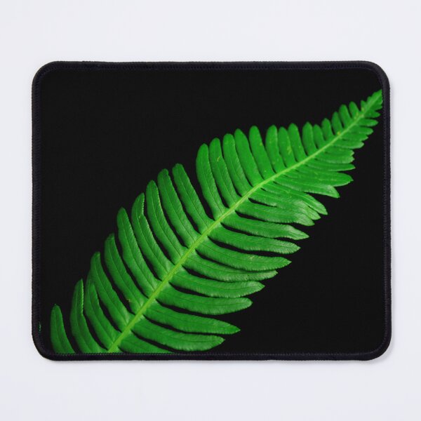Artikelvorschau, Green Fern entworfen und verkauft von AnthonyThomas.