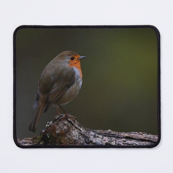 Item preview, Simply a Robin designed and sold by ClaireChown.