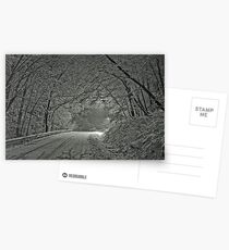 Winter wonders - Bolechowice (POLAND) - New Year 2018 by Brown Sugar. White Merry Christmas Everyone . Views: 10780.. Much fun making this! Challenge Top Ten Winner in Inspired Art Group. Postcards
