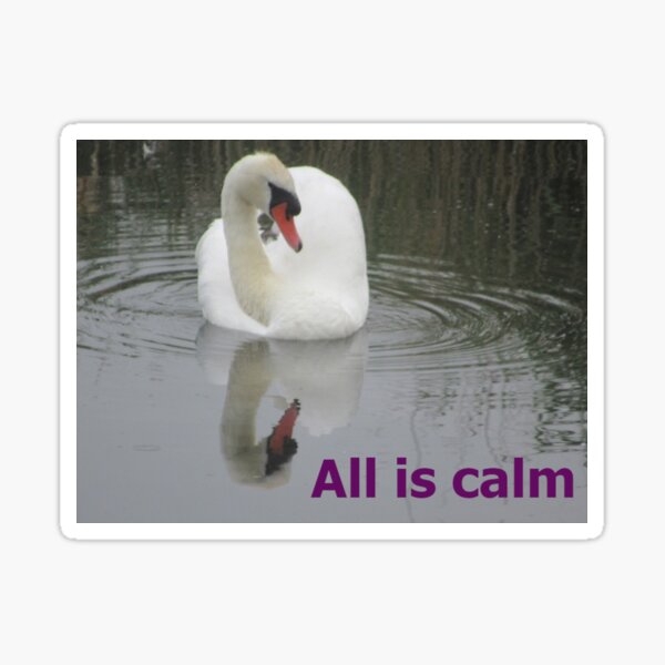 Swan - All Is Calm Sticker
