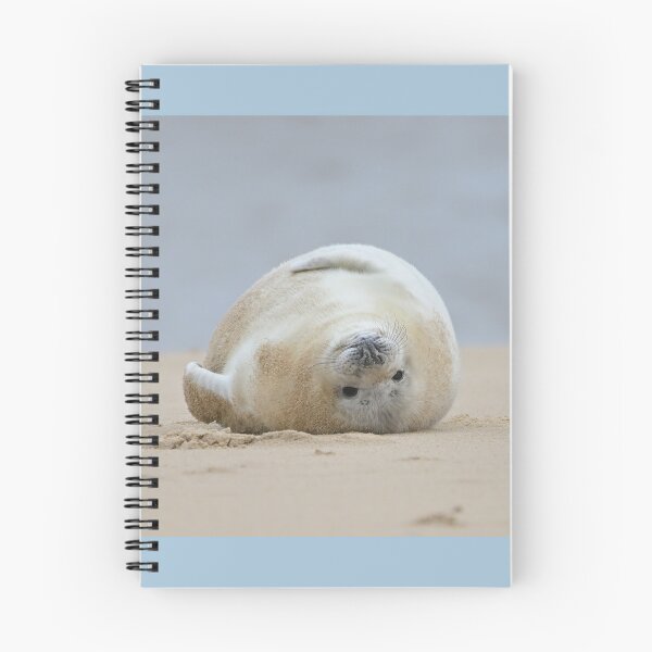 Item preview, Full Up Sealpup designed and sold by ClaireChown.