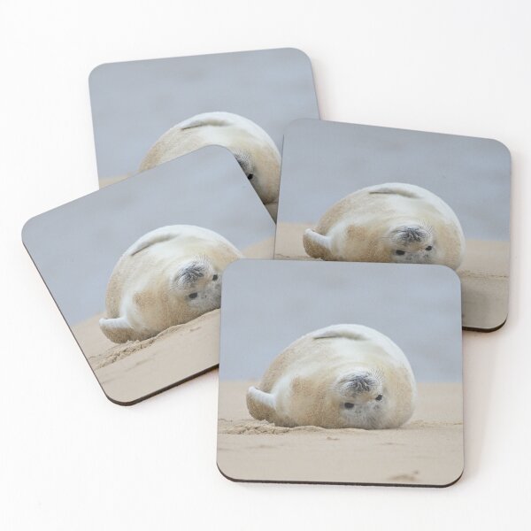 Item preview, Full Up Sealpup designed and sold by ClaireChown.
