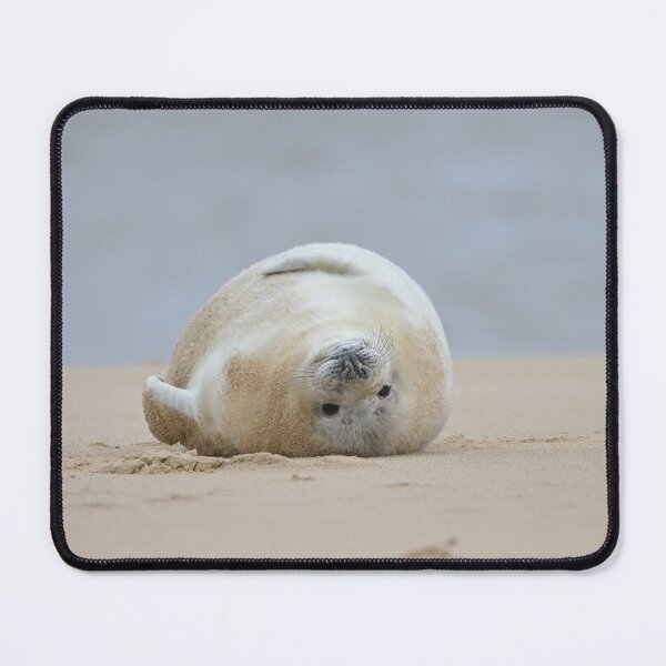 Item preview, Full Up Sealpup designed and sold by ClaireChown.