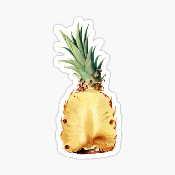 Pineapple watercolor illustration Sticker