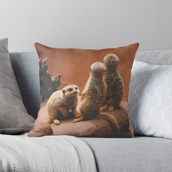 Meerkat Young Throw Pillow