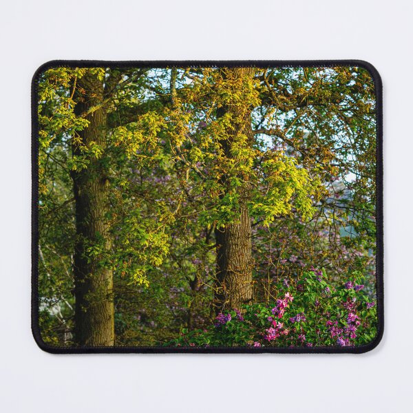 Item preview, Spring has Sprung designed and sold by Gerry Walden.