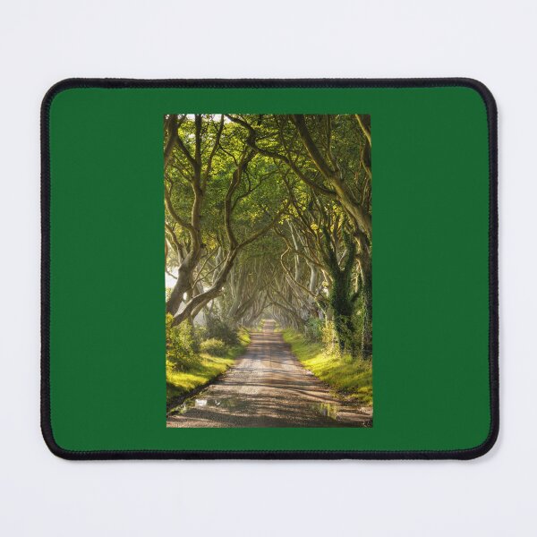 Item preview, The Dark Hedges Framed Art Print designed and sold by lindsaybroosign.