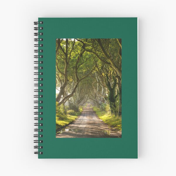 Item preview, The Dark Hedges Framed Art Print designed and sold by lindsaybroosign.