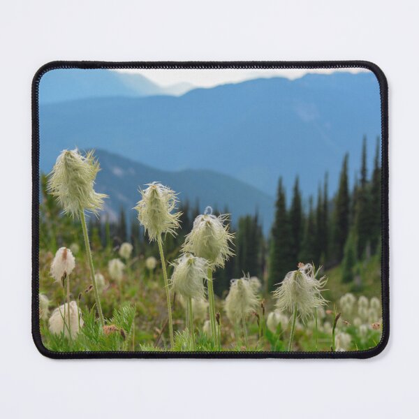Item preview, Field of Western Pasqueflower designed and sold by birdsofthePNW.