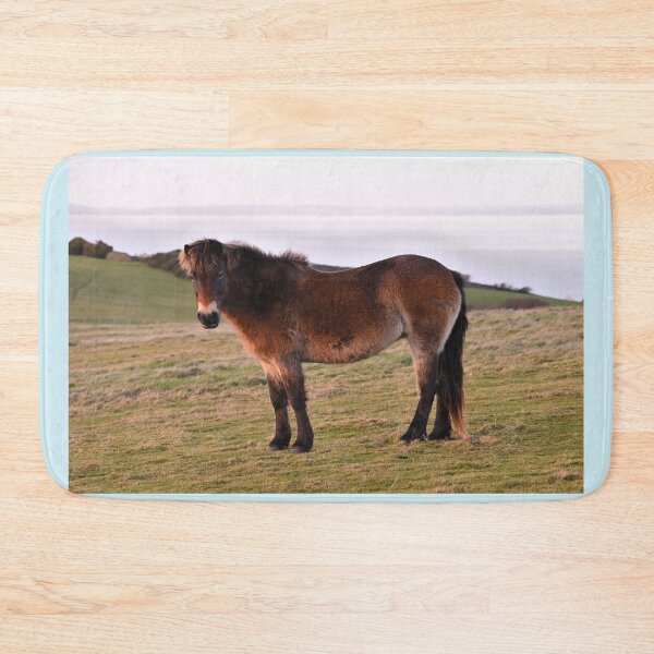Item preview, Exmoor Pony designed and sold by ClaireChown.