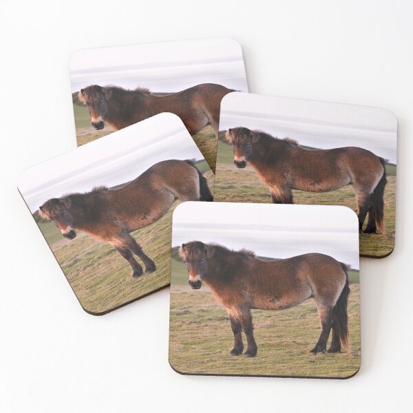 Item preview, Exmoor Pony designed and sold by ClaireChown.