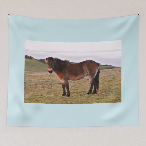 Artikelvorschau, Exmoor-Pony entworfen und verkauft von ClaireChown.