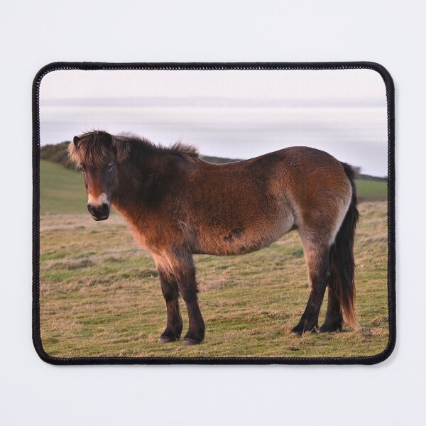 Item preview, Exmoor Pony designed and sold by ClaireChown.