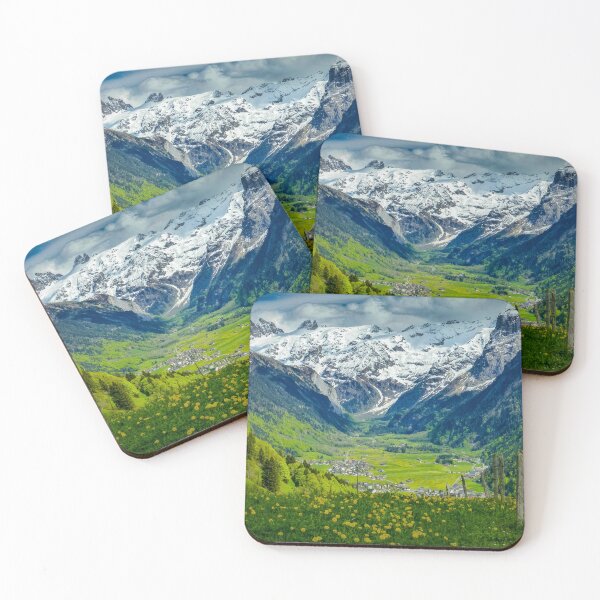 Spring Valley Coasters (Set of 4)