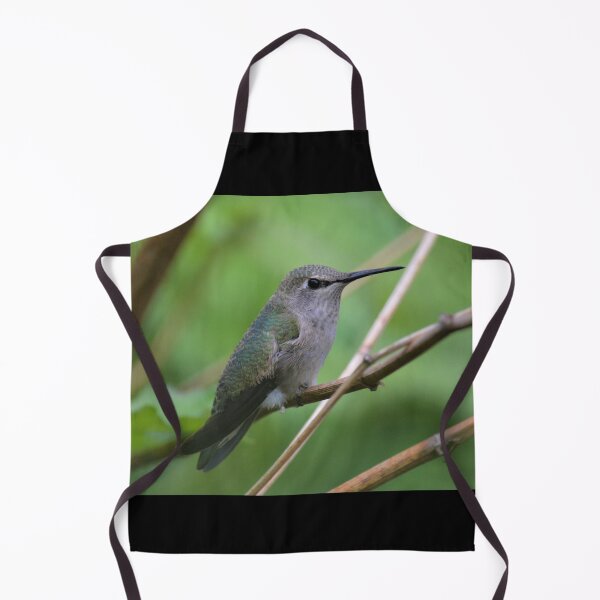 Item preview, Anna's Hummingbird nature shot designed and sold by birdsofthePNW.
