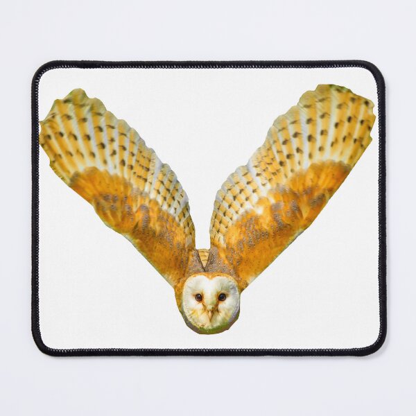 Item preview, Barn owl in flight designed and sold by Dalyndigital Photography.