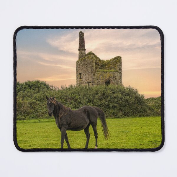 Item preview, Old tin mine and horses Cornwall designed and sold by kathleenjean.