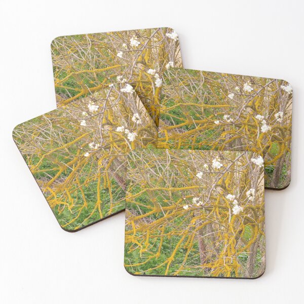 Item preview, twiggs and flowers designed and sold by Chiefdye.