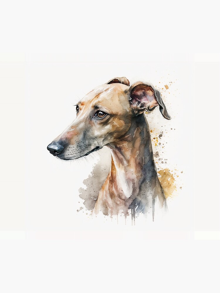 Disover Cute Whippet Watercolor Picture Shower Curtain