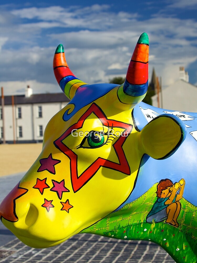 Play Trail - Asperations Cow, Ebrington by VeryIreland