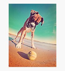Beach Boxer Dog Photographic Print