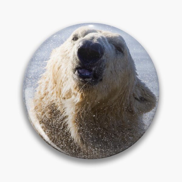 Item preview, Polar Bear Making a Splash designed and sold by LFPPhotography.