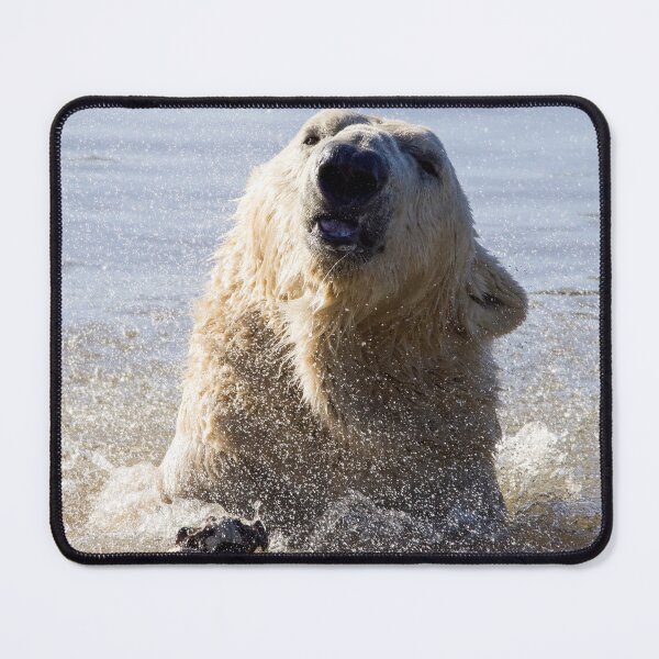 Item preview, Polar Bear Making a Splash designed and sold by LFPPhotography.