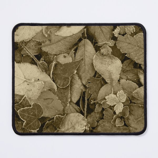 Item preview, Frosty Forest Floor Inch Island Donegal Tint designed and sold by eddiebarronshop.