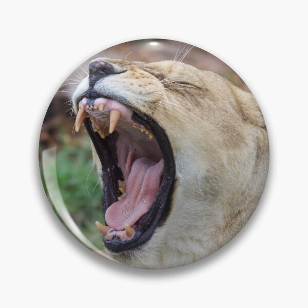 Item preview, Tired Lion designed and sold by LFPPhotography.