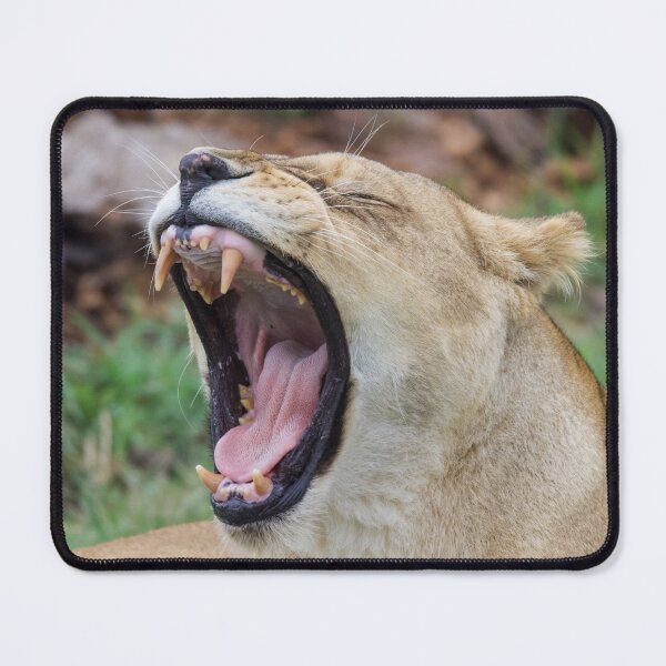 Item preview, Tired Lion designed and sold by LFPPhotography.