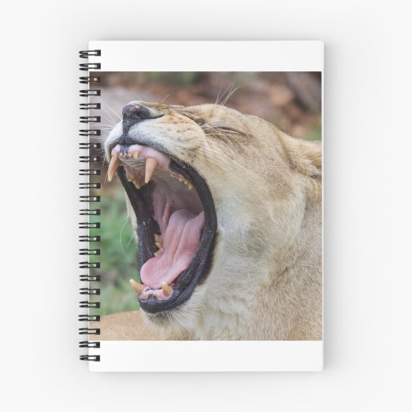 Item preview, Tired Lion designed and sold by LFPPhotography.