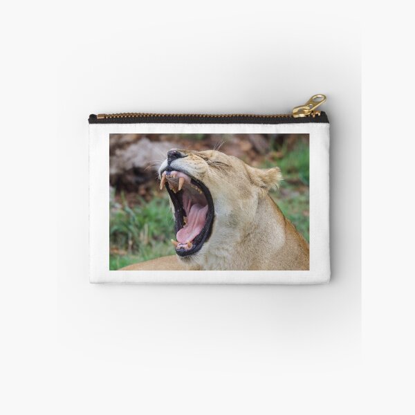 Item preview, Tired Lion designed and sold by LFPPhotography.