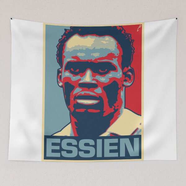 Item preview, Essien designed and sold by DFA.