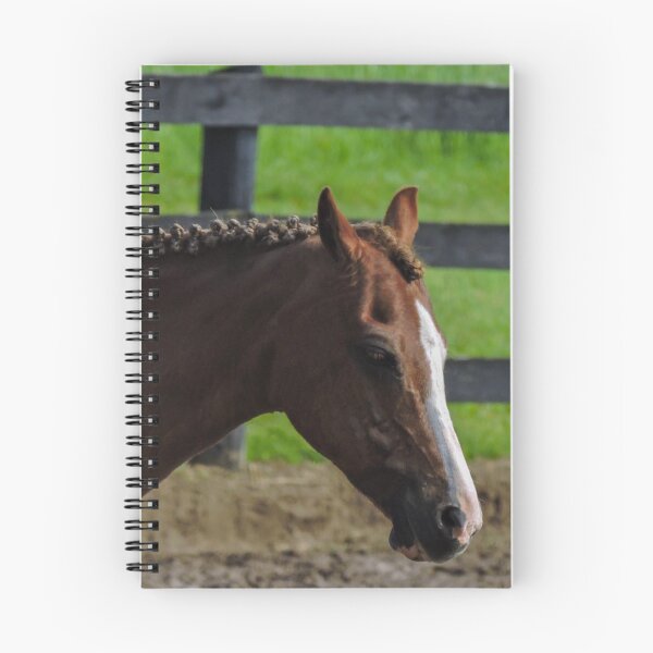 Artikelvorschau, Zeige Pony entworfen und verkauft von theartsyeq.