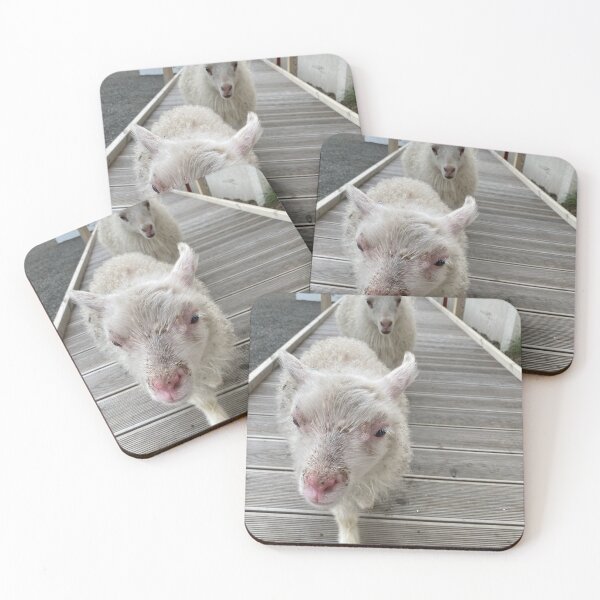 Item preview, Two friendly lambs designed and sold by DrAgonPhotos.