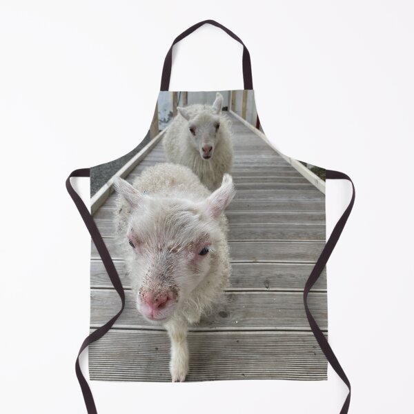 Item preview, Two friendly lambs designed and sold by DrAgonPhotos.