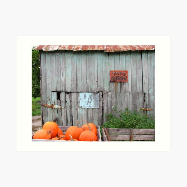 Old Barn Art Print