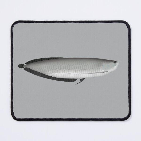 Item preview, Silver Arowana designed and sold by fishfolkart.